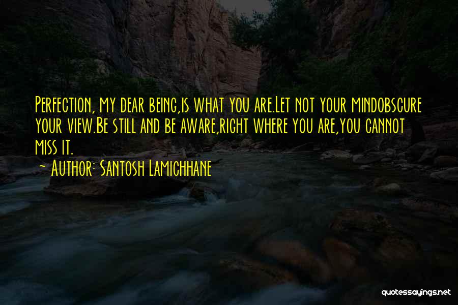 Santosh Lamichhane Quotes: Perfection, My Dear Being,is What You Are.let Not Your Mindobscure Your View.be Still And Be Aware,right Where You Are,you Cannot
