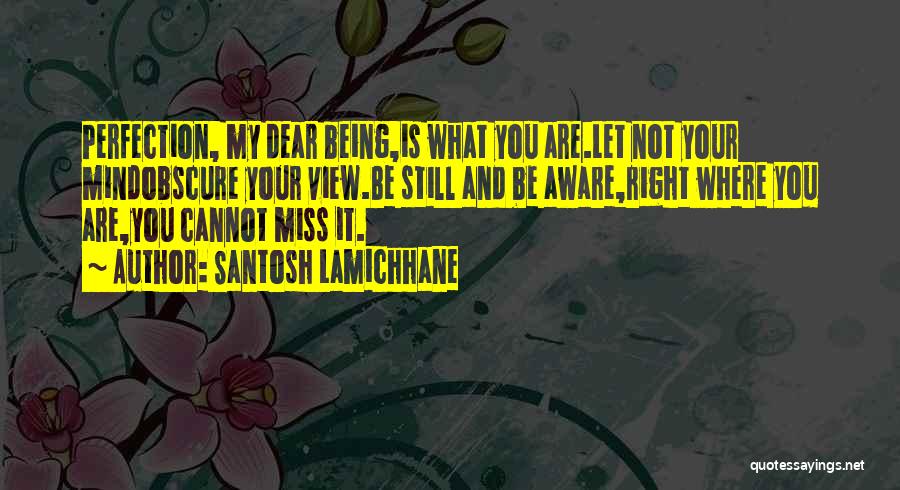 Santosh Lamichhane Quotes: Perfection, My Dear Being,is What You Are.let Not Your Mindobscure Your View.be Still And Be Aware,right Where You Are,you Cannot