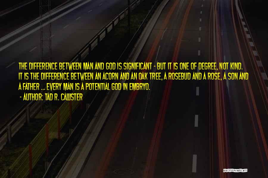 Tad R. Callister Quotes: The Difference Between Man And God Is Significant - But It Is One Of Degree, Not Kind. It Is The