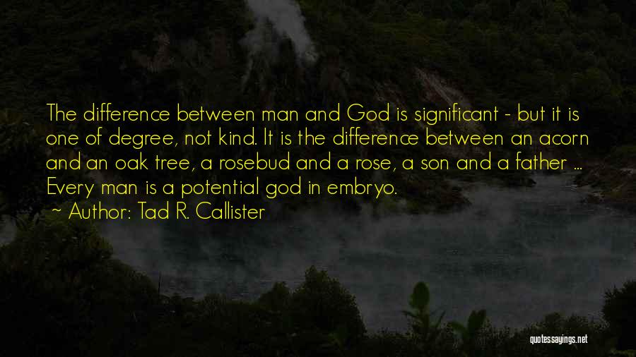 Tad R. Callister Quotes: The Difference Between Man And God Is Significant - But It Is One Of Degree, Not Kind. It Is The
