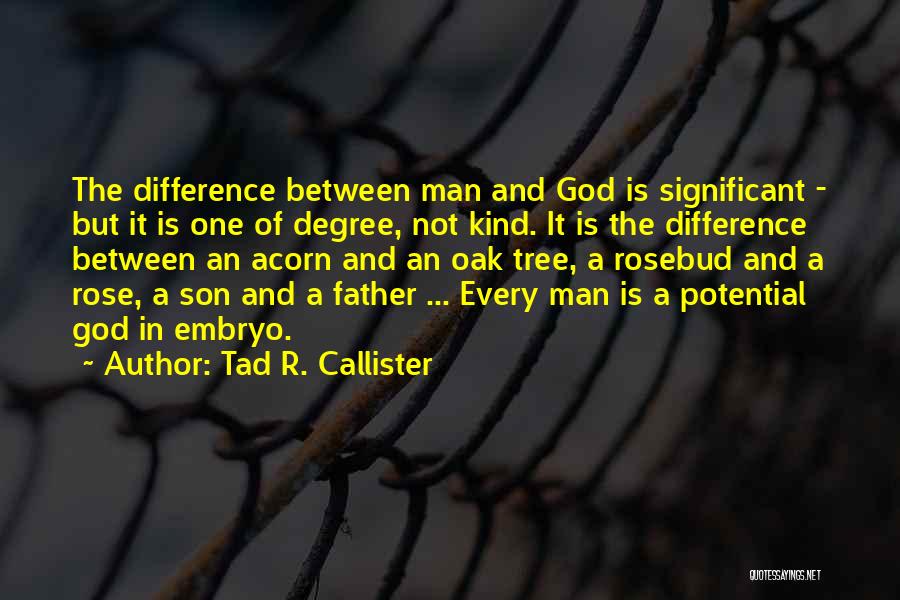 Tad R. Callister Quotes: The Difference Between Man And God Is Significant - But It Is One Of Degree, Not Kind. It Is The