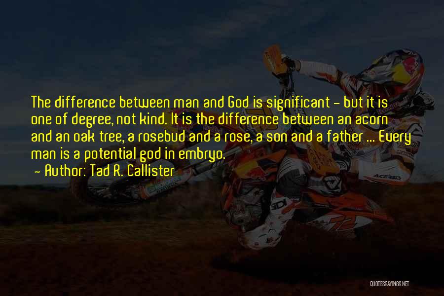 Tad R. Callister Quotes: The Difference Between Man And God Is Significant - But It Is One Of Degree, Not Kind. It Is The
