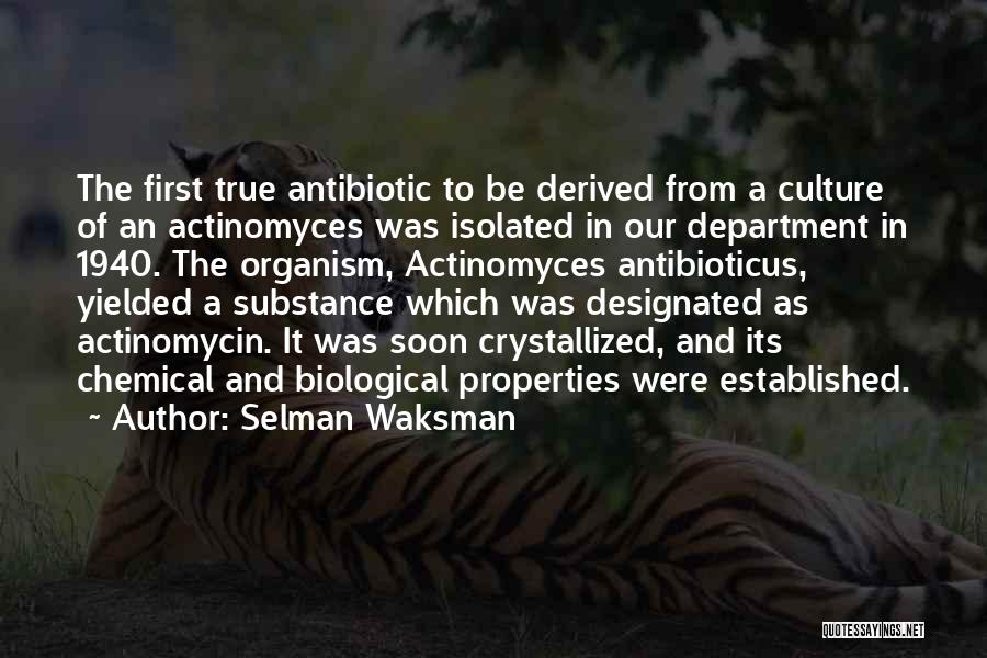 Selman Waksman Quotes: The First True Antibiotic To Be Derived From A Culture Of An Actinomyces Was Isolated In Our Department In 1940.