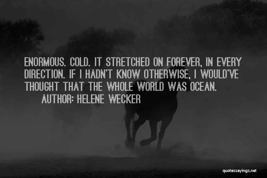 Helene Wecker Quotes: Enormous. Cold. It Stretched On Forever, In Every Direction. If I Hadn't Know Otherwise, I Would've Thought That The Whole