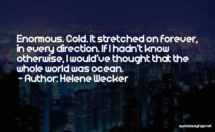 Helene Wecker Quotes: Enormous. Cold. It Stretched On Forever, In Every Direction. If I Hadn't Know Otherwise, I Would've Thought That The Whole