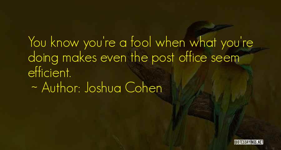 Joshua Cohen Quotes: You Know You're A Fool When What You're Doing Makes Even The Post Office Seem Efficient.