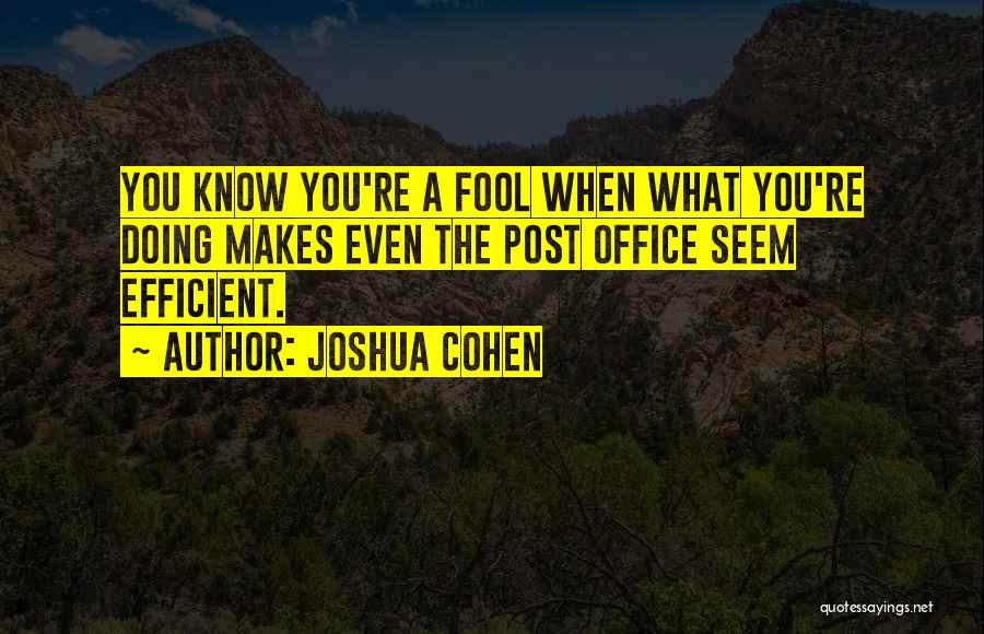 Joshua Cohen Quotes: You Know You're A Fool When What You're Doing Makes Even The Post Office Seem Efficient.