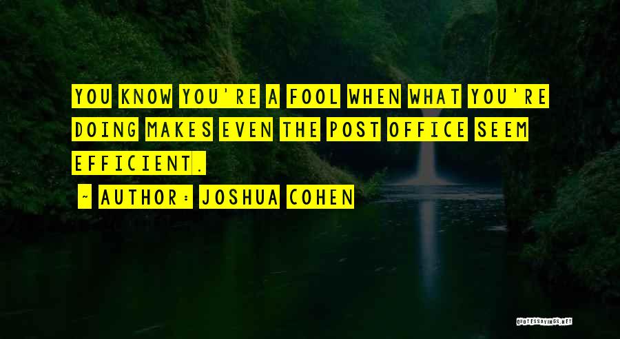 Joshua Cohen Quotes: You Know You're A Fool When What You're Doing Makes Even The Post Office Seem Efficient.