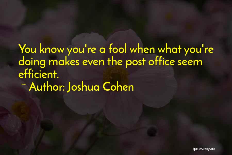 Joshua Cohen Quotes: You Know You're A Fool When What You're Doing Makes Even The Post Office Seem Efficient.