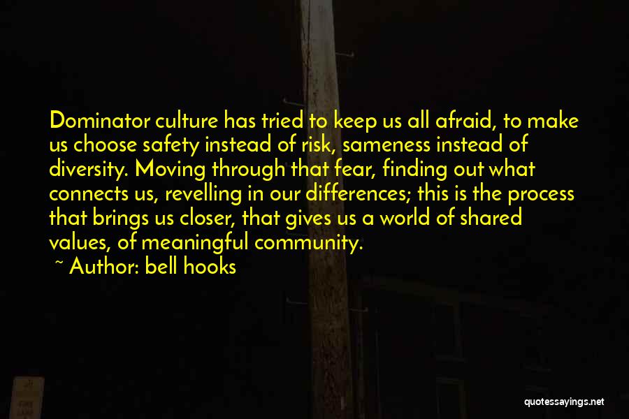 Bell Hooks Quotes: Dominator Culture Has Tried To Keep Us All Afraid, To Make Us Choose Safety Instead Of Risk, Sameness Instead Of