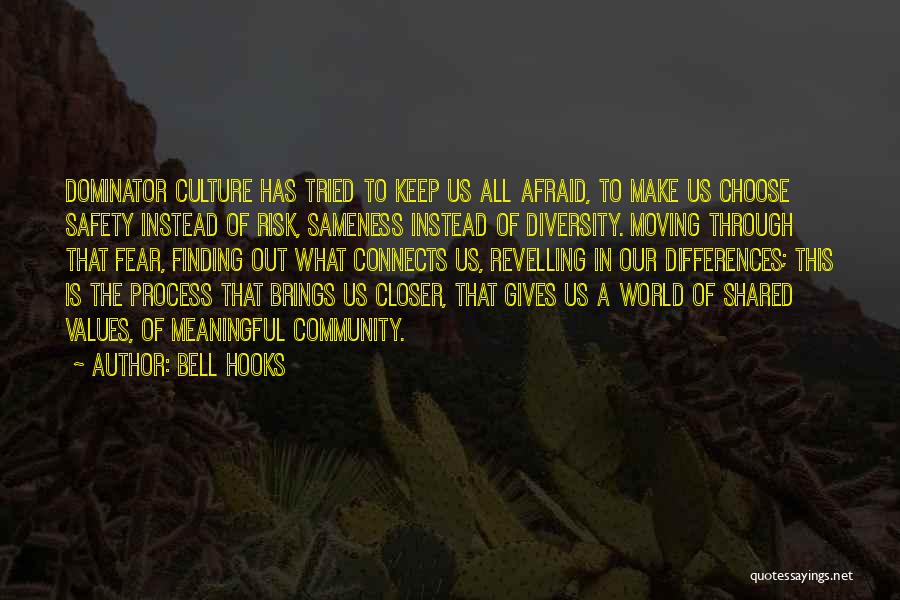 Bell Hooks Quotes: Dominator Culture Has Tried To Keep Us All Afraid, To Make Us Choose Safety Instead Of Risk, Sameness Instead Of