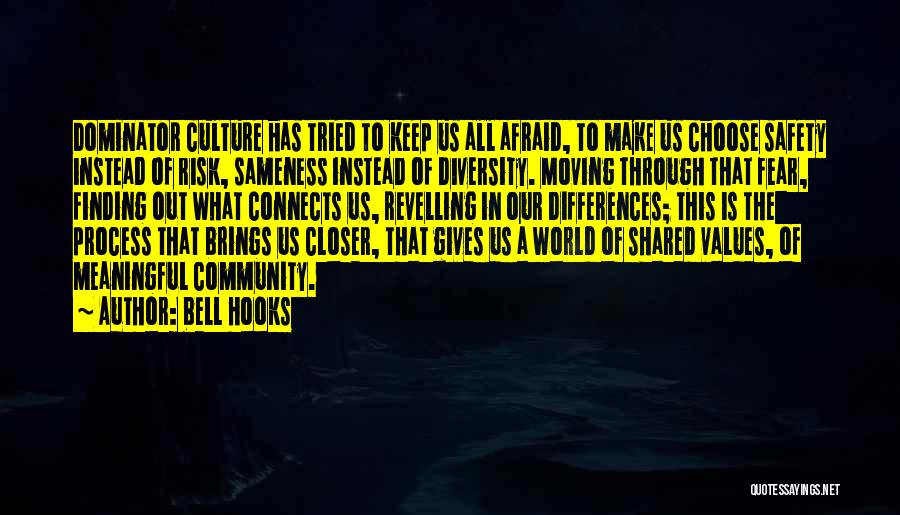 Bell Hooks Quotes: Dominator Culture Has Tried To Keep Us All Afraid, To Make Us Choose Safety Instead Of Risk, Sameness Instead Of