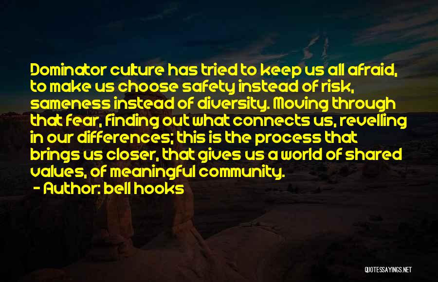 Bell Hooks Quotes: Dominator Culture Has Tried To Keep Us All Afraid, To Make Us Choose Safety Instead Of Risk, Sameness Instead Of