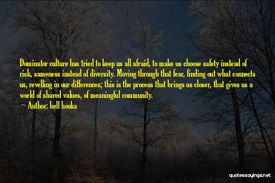 Bell Hooks Quotes: Dominator Culture Has Tried To Keep Us All Afraid, To Make Us Choose Safety Instead Of Risk, Sameness Instead Of