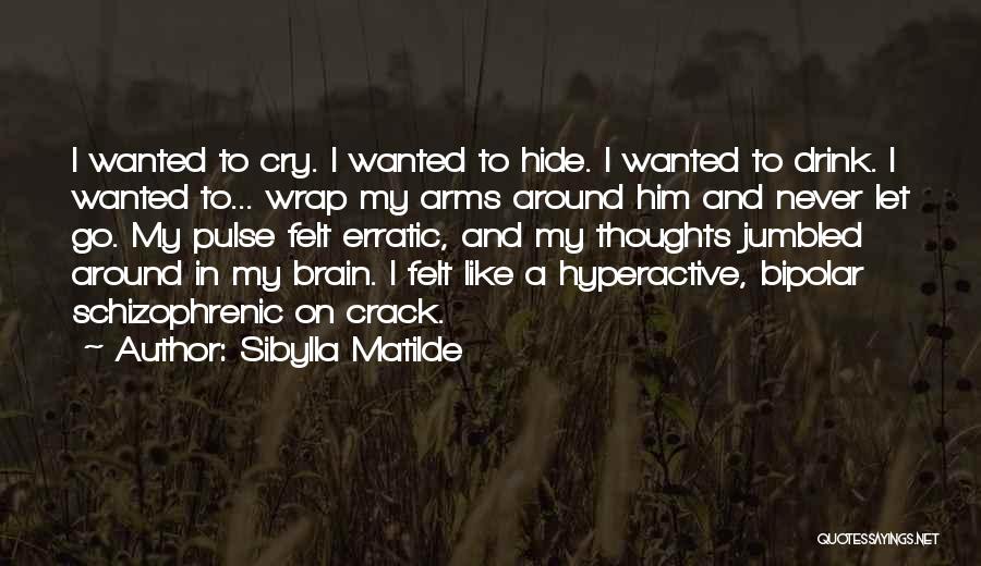 Sibylla Matilde Quotes: I Wanted To Cry. I Wanted To Hide. I Wanted To Drink. I Wanted To... Wrap My Arms Around Him