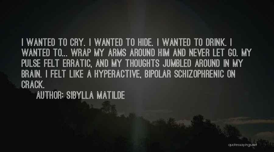 Sibylla Matilde Quotes: I Wanted To Cry. I Wanted To Hide. I Wanted To Drink. I Wanted To... Wrap My Arms Around Him