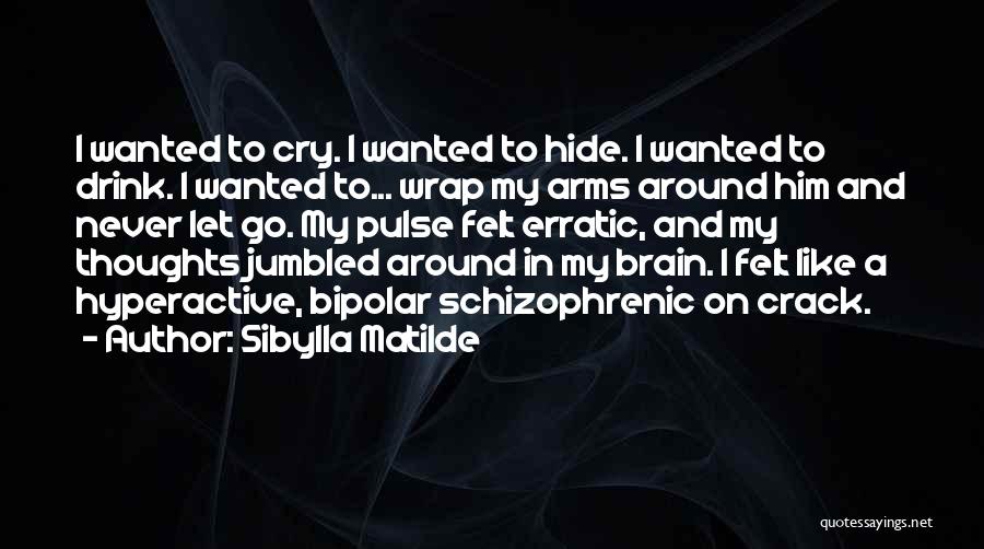 Sibylla Matilde Quotes: I Wanted To Cry. I Wanted To Hide. I Wanted To Drink. I Wanted To... Wrap My Arms Around Him