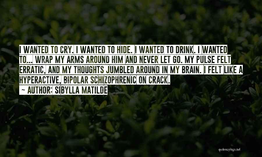 Sibylla Matilde Quotes: I Wanted To Cry. I Wanted To Hide. I Wanted To Drink. I Wanted To... Wrap My Arms Around Him