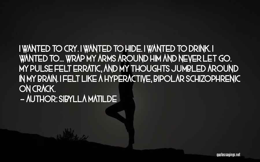 Sibylla Matilde Quotes: I Wanted To Cry. I Wanted To Hide. I Wanted To Drink. I Wanted To... Wrap My Arms Around Him