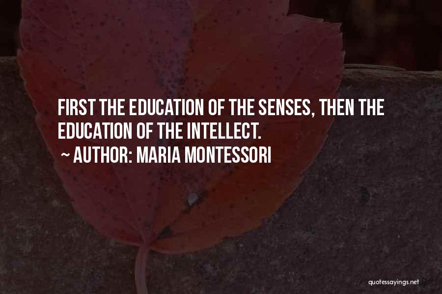 Maria Montessori Quotes: First The Education Of The Senses, Then The Education Of The Intellect.