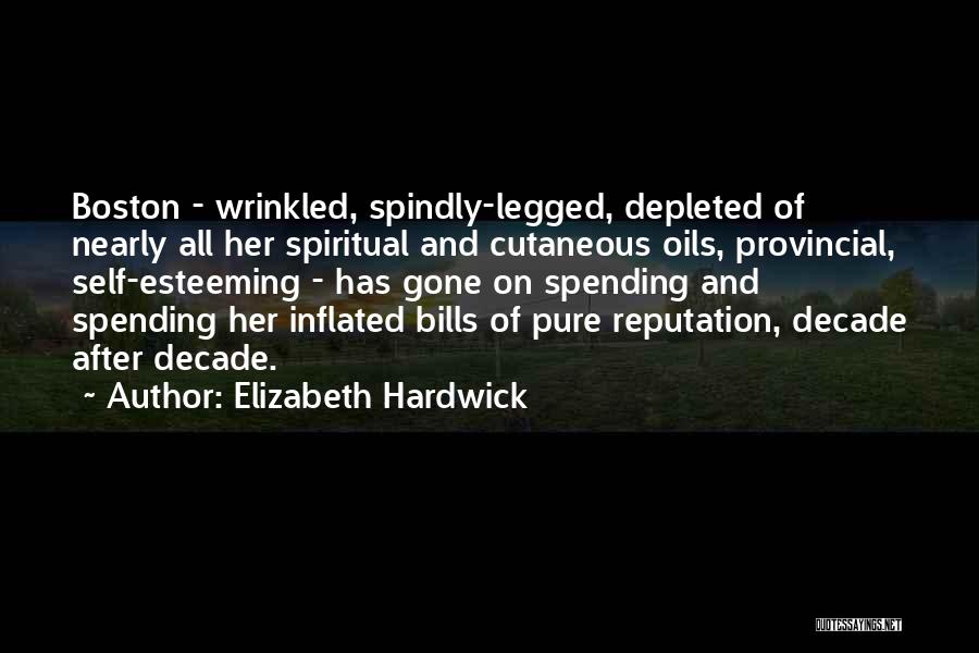 $2 Bills Quotes By Elizabeth Hardwick