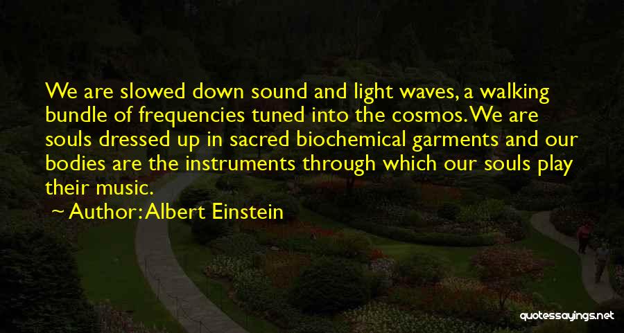 2 Bodies 1 Soul Quotes By Albert Einstein