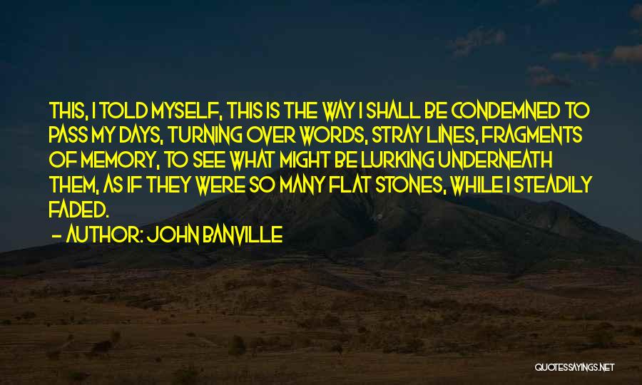 2 Lines Quotes By John Banville