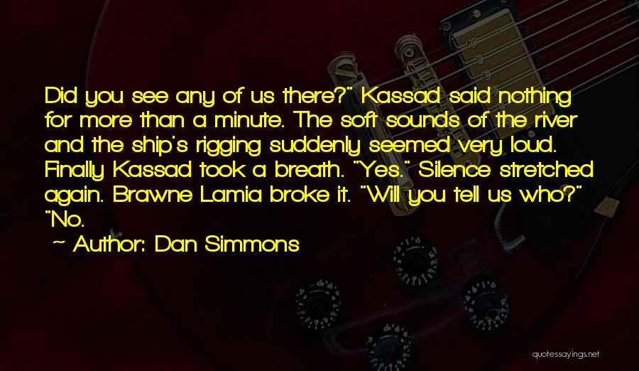 2 Minute Silence Quotes By Dan Simmons