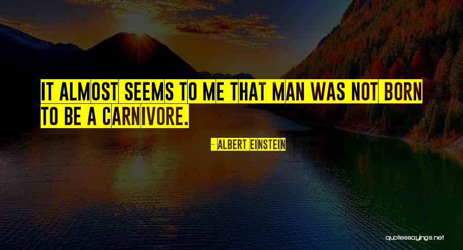 2 Weeks Till The 2nd Trimester Quotes By Albert Einstein 2 Weeks Till The 2nd Trimester Quotes By Albert Einstein