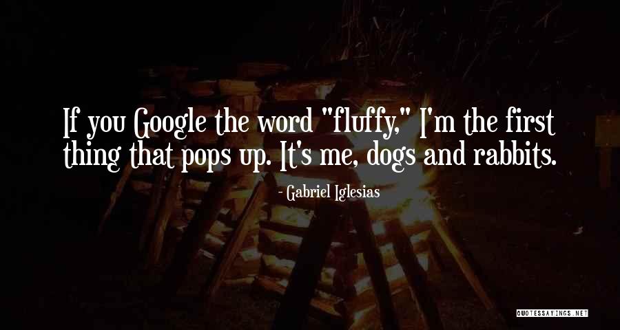 2 Word Dog Quotes By Gabriel Iglesias