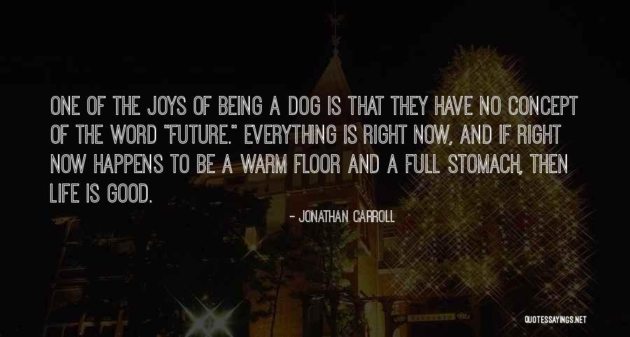 2 Word Dog Quotes By Jonathan Carroll 2 Word Dog Quotes By Jonathan Carroll