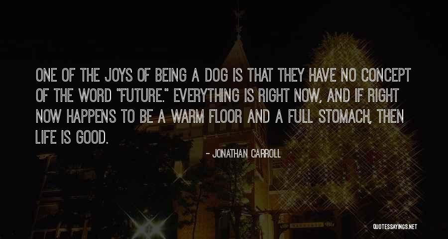 2 Word Dog Quotes By Jonathan Carroll