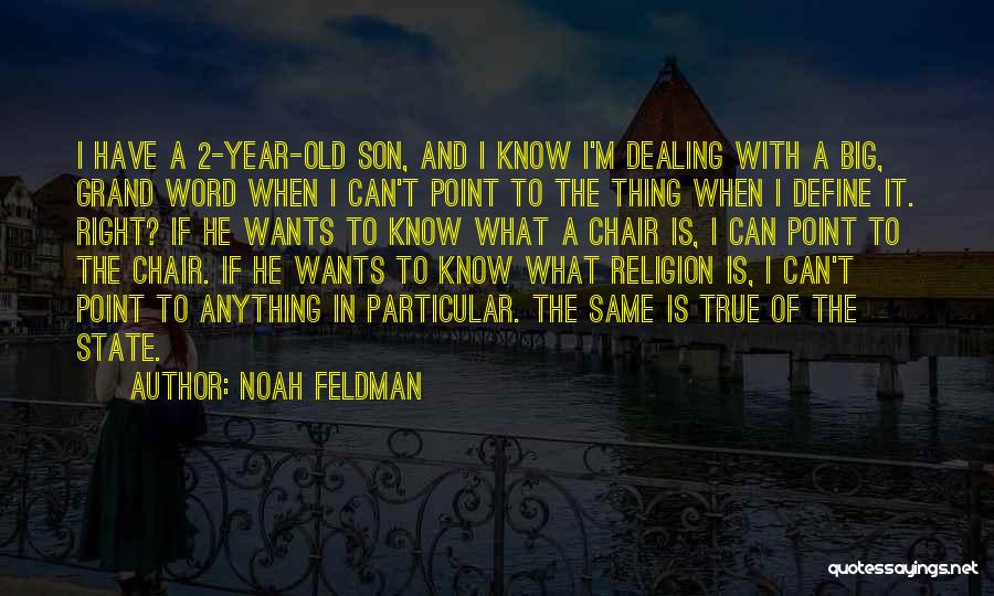 2 Year Old Quotes By Noah Feldman