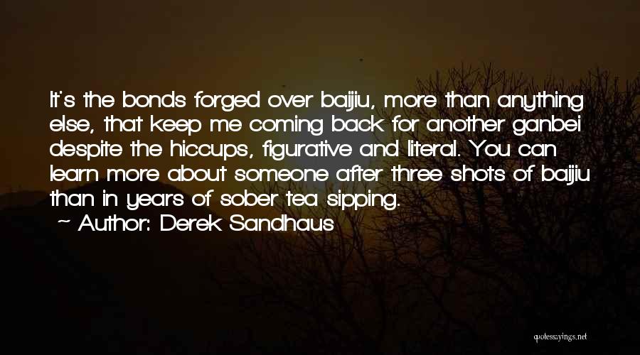 2 Years Sober Quotes By Derek Sandhaus