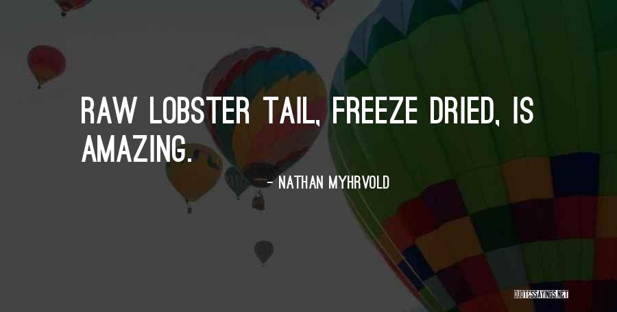 20 Most Famous Movie Quotes By Nathan Myhrvold 20 Most Famous Movie Quotes By Nathan Myhrvold