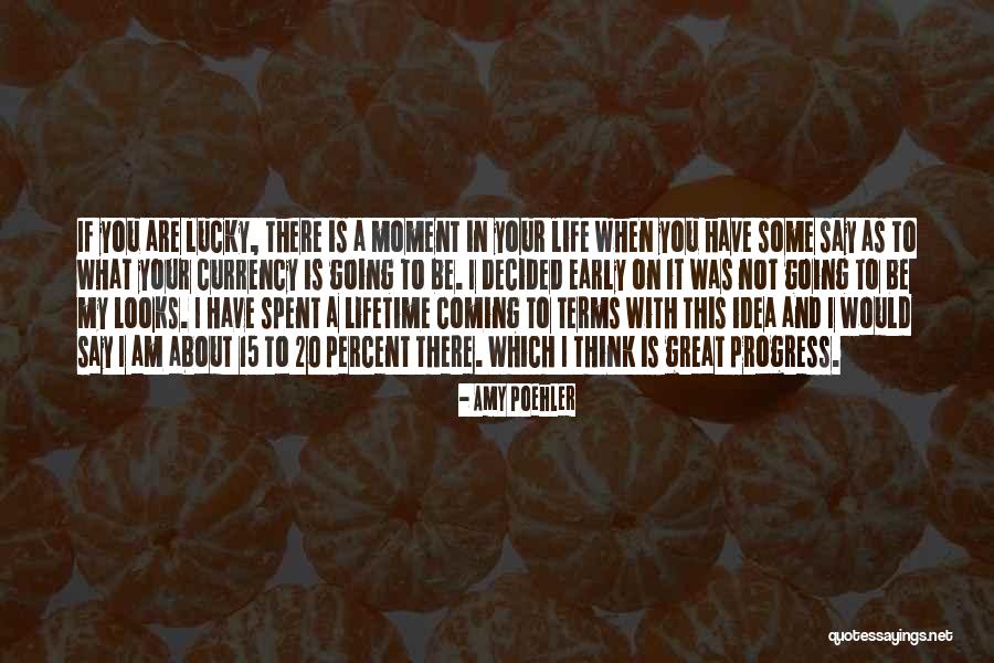 20 Percent Quotes By Amy Poehler