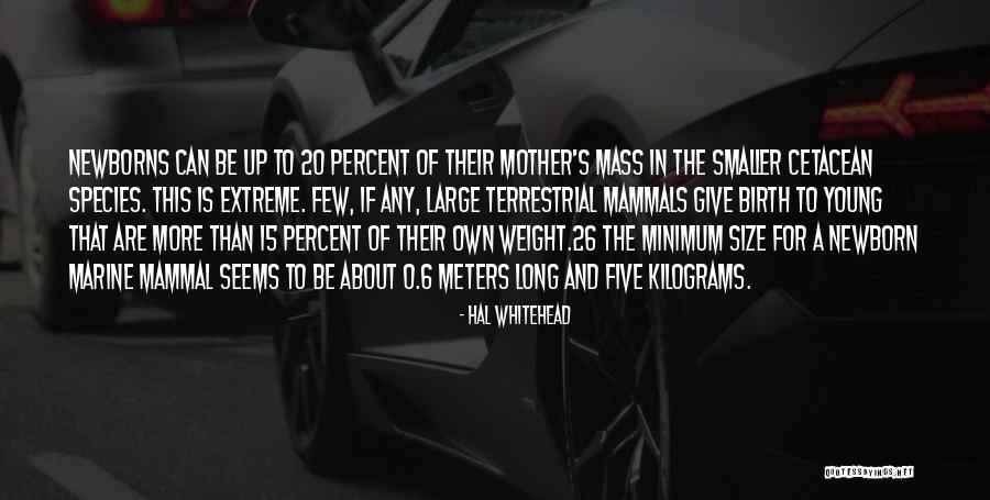 20 Percent Quotes By Hal Whitehead