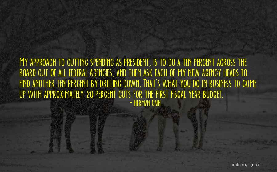 20 Percent Quotes By Herman Cain