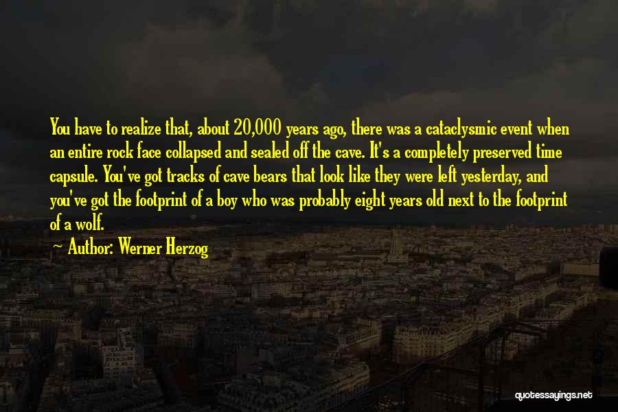 20 Years Ago Quotes By Werner Herzog
