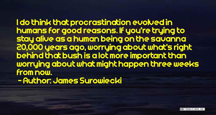 20 Years From Now Quotes By James Surowiecki