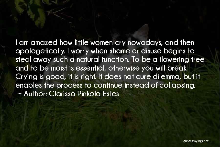 Clarissa Pinkola Estes Quotes: I Am Amazed How Little Women Cry Nowadays, And Then Apologetically. I Worry When Shame Or Disuse Begins To Steal