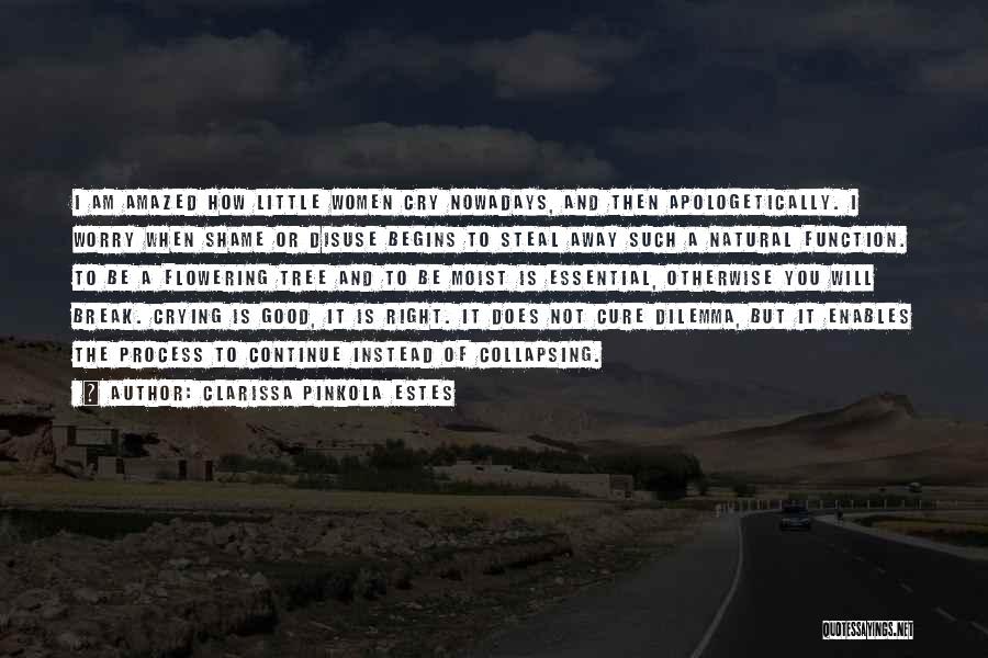 Clarissa Pinkola Estes Quotes: I Am Amazed How Little Women Cry Nowadays, And Then Apologetically. I Worry When Shame Or Disuse Begins To Steal