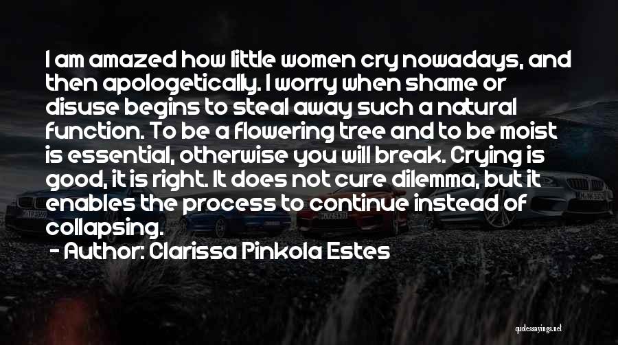 Clarissa Pinkola Estes Quotes: I Am Amazed How Little Women Cry Nowadays, And Then Apologetically. I Worry When Shame Or Disuse Begins To Steal