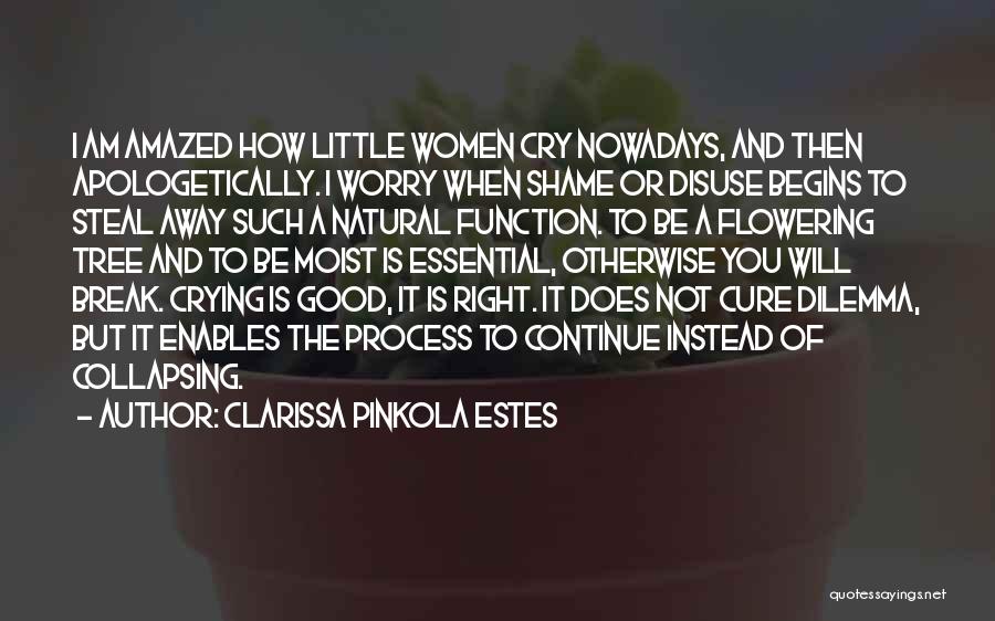 Clarissa Pinkola Estes Quotes: I Am Amazed How Little Women Cry Nowadays, And Then Apologetically. I Worry When Shame Or Disuse Begins To Steal