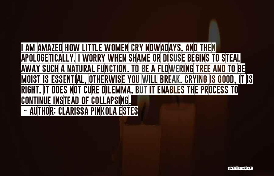 Clarissa Pinkola Estes Quotes: I Am Amazed How Little Women Cry Nowadays, And Then Apologetically. I Worry When Shame Or Disuse Begins To Steal