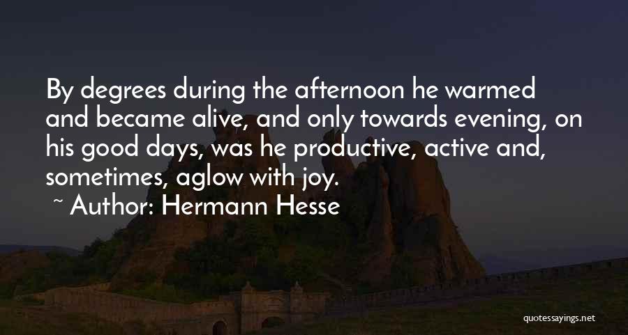 Hermann Hesse Quotes: By Degrees During The Afternoon He Warmed And Became Alive, And Only Towards Evening, On His Good Days, Was He