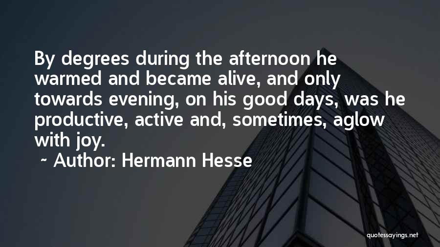 Hermann Hesse Quotes: By Degrees During The Afternoon He Warmed And Became Alive, And Only Towards Evening, On His Good Days, Was He