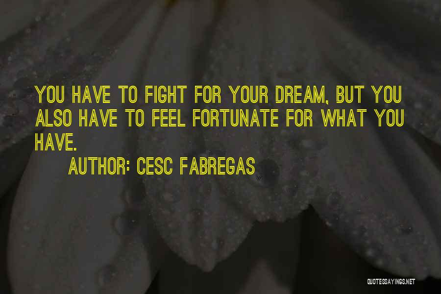 Cesc Fabregas Quotes: You Have To Fight For Your Dream, But You Also Have To Feel Fortunate For What You Have.