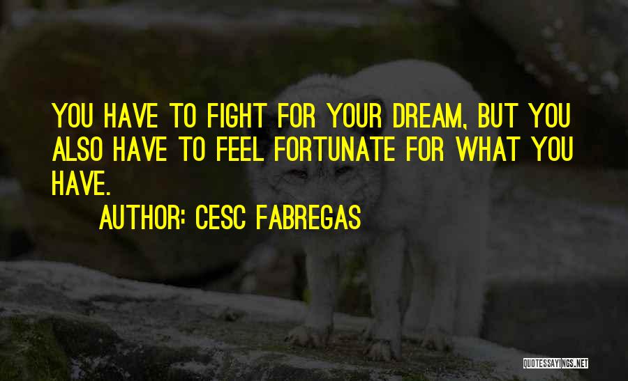 Cesc Fabregas Quotes: You Have To Fight For Your Dream, But You Also Have To Feel Fortunate For What You Have.