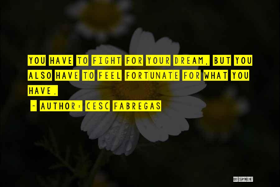 Cesc Fabregas Quotes: You Have To Fight For Your Dream, But You Also Have To Feel Fortunate For What You Have.